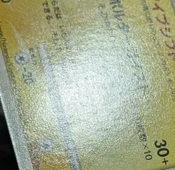 Pokemon Japanese Rotom Galactic's Conquest release campaign Promo 003/DPt-P - Image 4