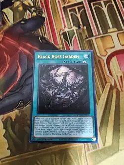 Black Rose Garden - DOOD-EN055 - Ultra Rare 1st Edition NM Yugioh - Image 1
