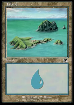 MTG Island (336) - Foil, Onslaught, Heavily Played, English - Image 1