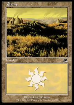 MTG Plains (333) - Foil, Onslaught, Heavily Played, English - Image 1