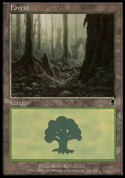 MTG Forest (348) - Foil, Odyssey, Heavily Played, English - Image 1