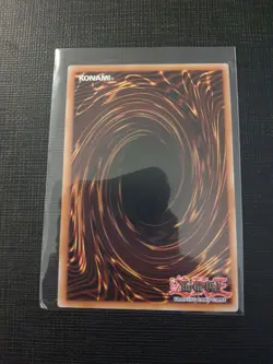 3x Blue-Eyes White Dragon CT13-EN008 Ultra Original SDK Kaiba Artwork YUGIOH LP+ - Image 3