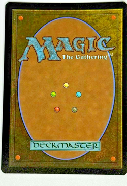 MTG Edge of Eternities Terrasymbiosis (Borderless) EoE foil R0312 unplayed - Image 2