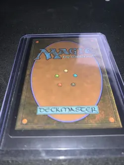 Misty Rainforest Modern Horizons 2 LP - Image 2