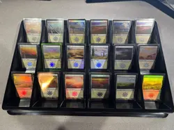 Magic: The Gathering - Basic Land Lot - ALL FOIL - Random Sets - Plains x4 - Image 5