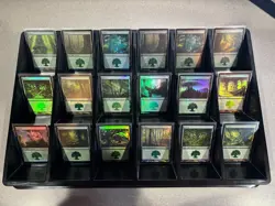 Magic: The Gathering - Basic Land Lot - ALL FOIL - Random Sets - Forest x4 - Image 4