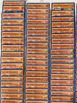 209 Yu-Gi-Oh ORANGE EFFECT MONSTER LOT, ALL 1ST EDITIONS - Image 4