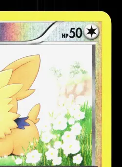 Lillipup BW52 BW Black Star Promos MP Pokemon Card TCG - Image 3