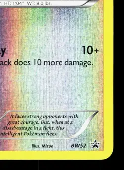 Lillipup BW52 BW Black Star Promos MP Pokemon Card TCG - Image 5