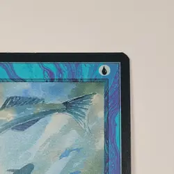 MTG Card - 1x Mystic Remora - Ice Age - LP - Vintage Magic The Gathering 1995 - Image 4