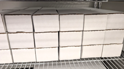 Massive 1000 Pokemon Card Collection Lot with 150 Holos Reverse + Rares English - Image 3