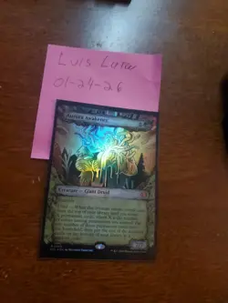 Aurora Awakener (Showcase) Lorwyn Eclipsed Foil - Image 1