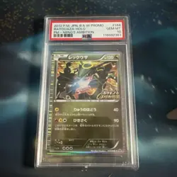 Rayquaza - 144/BW-P 144/BW-P BW-P Promotional cards Holo (Japanese) - Image 1