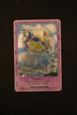 Bella Sara Trading Card - Native Lights - Foil S16/17 Tsimshian - Image 1
