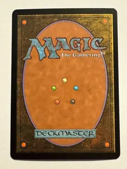 MTG Unhinged Plains - Image 2