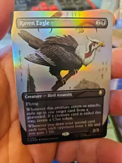 MTG - Avatar: The Last Airbender - Raven Eagle (Borderless)- NM - Foil - Image 1