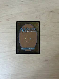 MTG Heroic Intervention (Rainbow Foil) [Secret Lair Drop Series] Foil Near Mint - Image 2