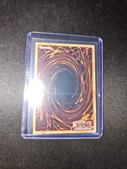 Yu-Gi-Oh! Bramble Rose Dragon DOOD-EN039 Secret Rare 1st Edition NM - Image 3