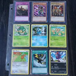 Pokemon Card Lot 325 Random wide variety some kazuki cards and 1 Large Garchomp - Image 2