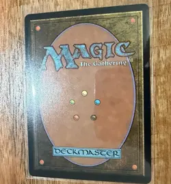 Selfless Safewright (Extended Art) Lorwyn Eclipsed Regular - Image 2