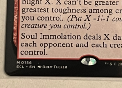 MTG Soul Immolation - Lorwyn Eclipsed #156 - Image 3