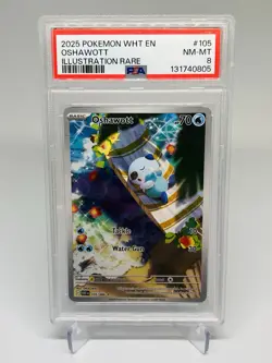 Pokemon TCG Oshawott 105/086 Illustration Rare IR White Flare PSA 8 NM - Image 1