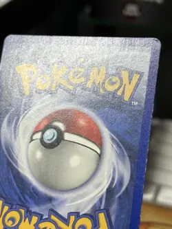 1st Edition Beedrill 18/75 Neo Discovery 2001 WOTC Pokemon Card TCG - Image 5