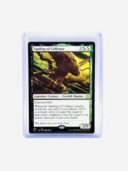 Magic The Gathering, Sapling of Colfenor, Commander 2021, Regular MT/NM - Image 1