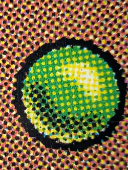 Bloom Tender (0400) (Showcase) (Fracture Foil) Lorwyn Eclipsed Foil - Image 2