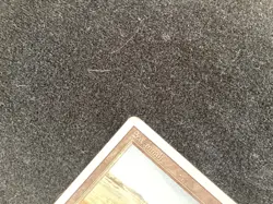 MTG Savannah - MP - Magic the Gathering Revised - Image 4