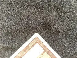 MTG Savannah - MP - Magic the Gathering Revised - Image 5