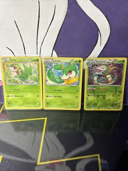 Pokemon TCG Bundle Lot X 3 Snivy RC1/RC25 Servine RC2/RC25 Serperior RC3/RC25 - Image 1