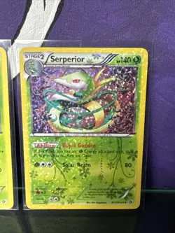 Pokemon TCG Bundle Lot X 3 Snivy RC1/RC25 Servine RC2/RC25 Serperior RC3/RC25 - Image 3