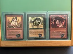 Magic The Gathering Artist Signed Matt Cavotta Mtg Lot Of 3 Cards Mtg Autograph - Image 1