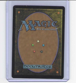 Magic MTG Avatar The Last Airbender Aang's Shelter Borderless M0007 - Image 2