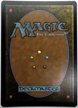 Sokka and Suki (Borderless)- Avatar: The Last Airbender: Eternal-Legal TLE Foil - Image 2