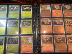 Pokemon Mega Evolution 100% Complete Master Base Set Includes Reverse Holo & EX - Image 5