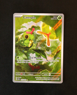 Pokemon Card TCG - Caterpie 172/165 - S&V 151 English - Illustration Rare - NM ⭐ - Image 1