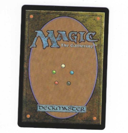 Magic MTG Avatar The Last Airbender Wan Shi Tong Librarian Borderless Foil M0320 - Image 2
