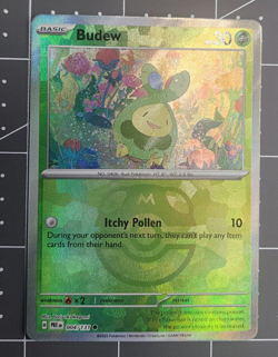 Budew (Master Ball Pattern) 004/131 - Sv:Prismatic Evolutions - Pokemon TCG NM - Image 3