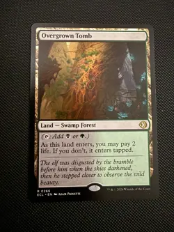mtg overgrown tomb - Image 1
