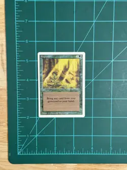 MTG Regrowth Revised Edition Regular - Image 2