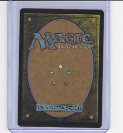 Magic MTG Avatar The Last Airbender Volcano of Roku's Island Borderless M0061 - Image 2