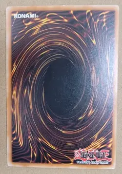 Yu-Gi-Oh! - Karte Sakuretsu-Rustung / SD8-DE034 / Common / 1. Auflage - Image 2