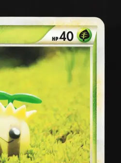 Sunkern 009/070 HeartGold Collection MP 1st ED Japanese Pokemon Card TCG - Image 3