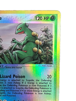 Sceptile 11/109 Ruby and Sapphire Reverse Holo Vintage Pokemon TCG Card LP - Image 3