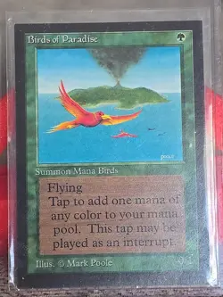 1993 Magic The Gathering Collectors' Edition Birds of Paradise NM+ - Image 1