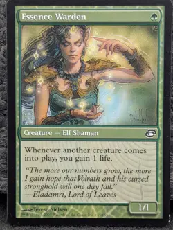 1x MP - Essence Warden - Planar Chaos - Magic The Gathering Moderately Played - Image 1