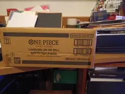 One Piece TCG Sealed Case 12x Booster Box OP13 OP-13 - ENG ENGLISH carrying - Image 4