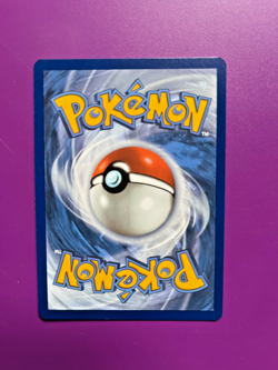 2 Trainer Gallery cards from Silver Tempest - Braixen TG01 & Druddigon TG09 - Image 2